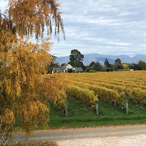 Vineyard In On The Golden Mile Lodge Blenheim